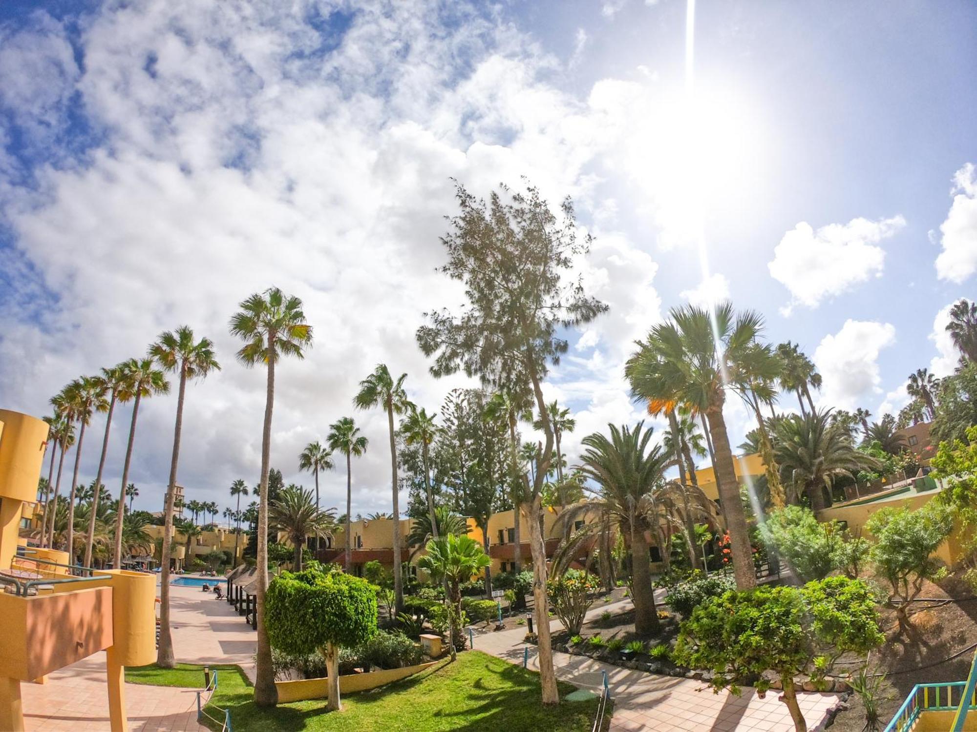 Drago 1 Atlantic Garden Apartment Corralejo Exterior foto
